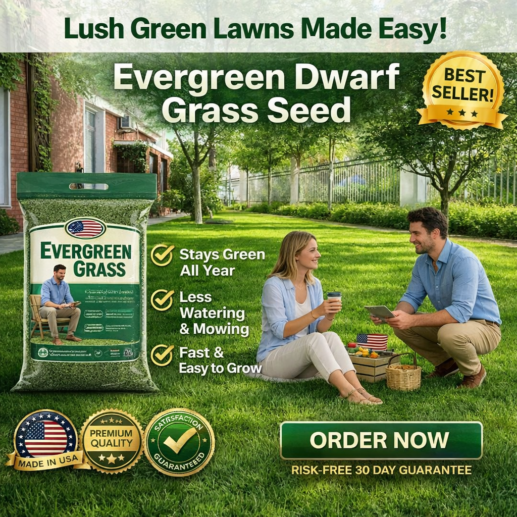 /69dc9e1008064e000af0e8e3/2026/04/16/product-img-69e11e14373c02bd69cc0909.png